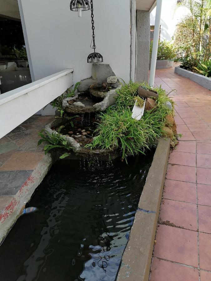 Mangolds Guest House พอร์ตเอลิซาเบธ ภายนอก รูปภาพ